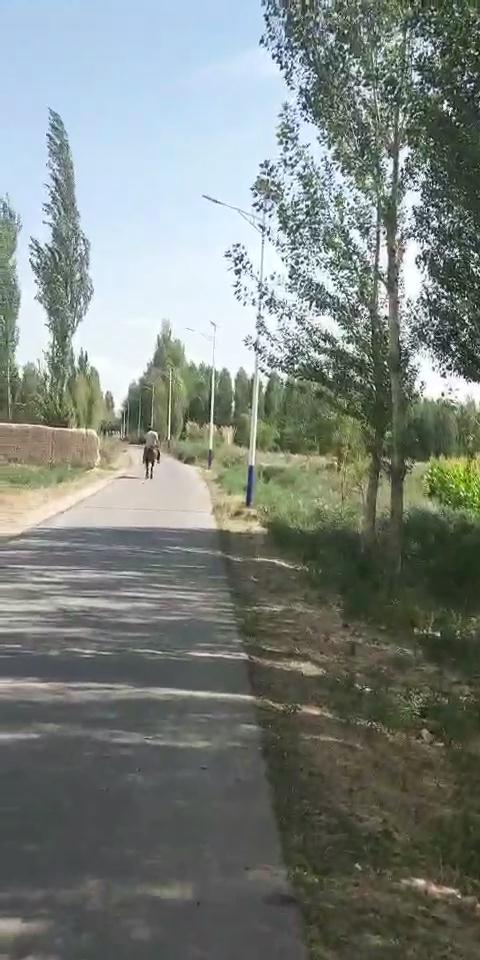 新疆太陽能led路燈 新疆太陽能led路燈